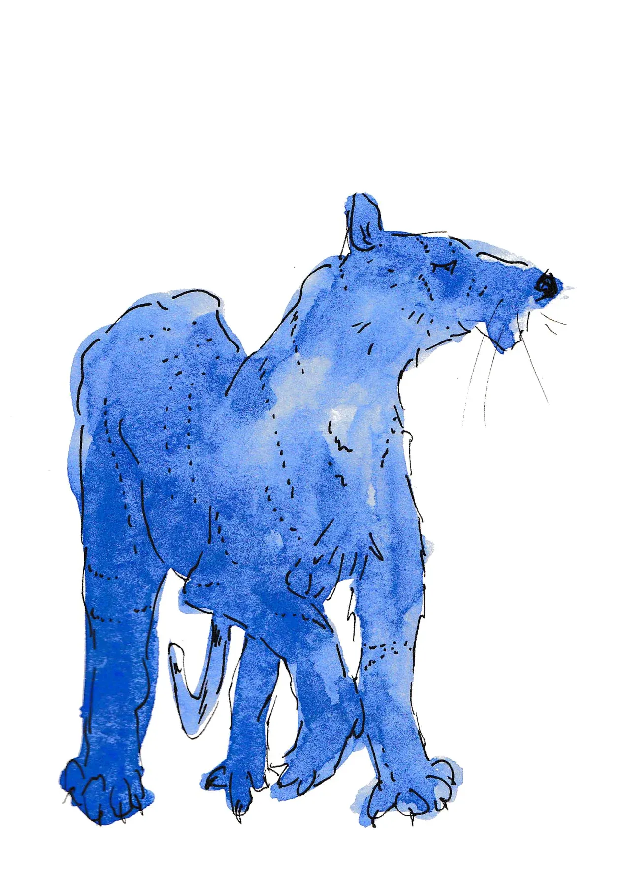 Tiger character.