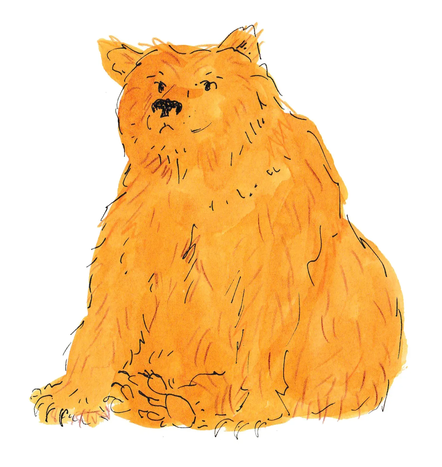 Bear character.
