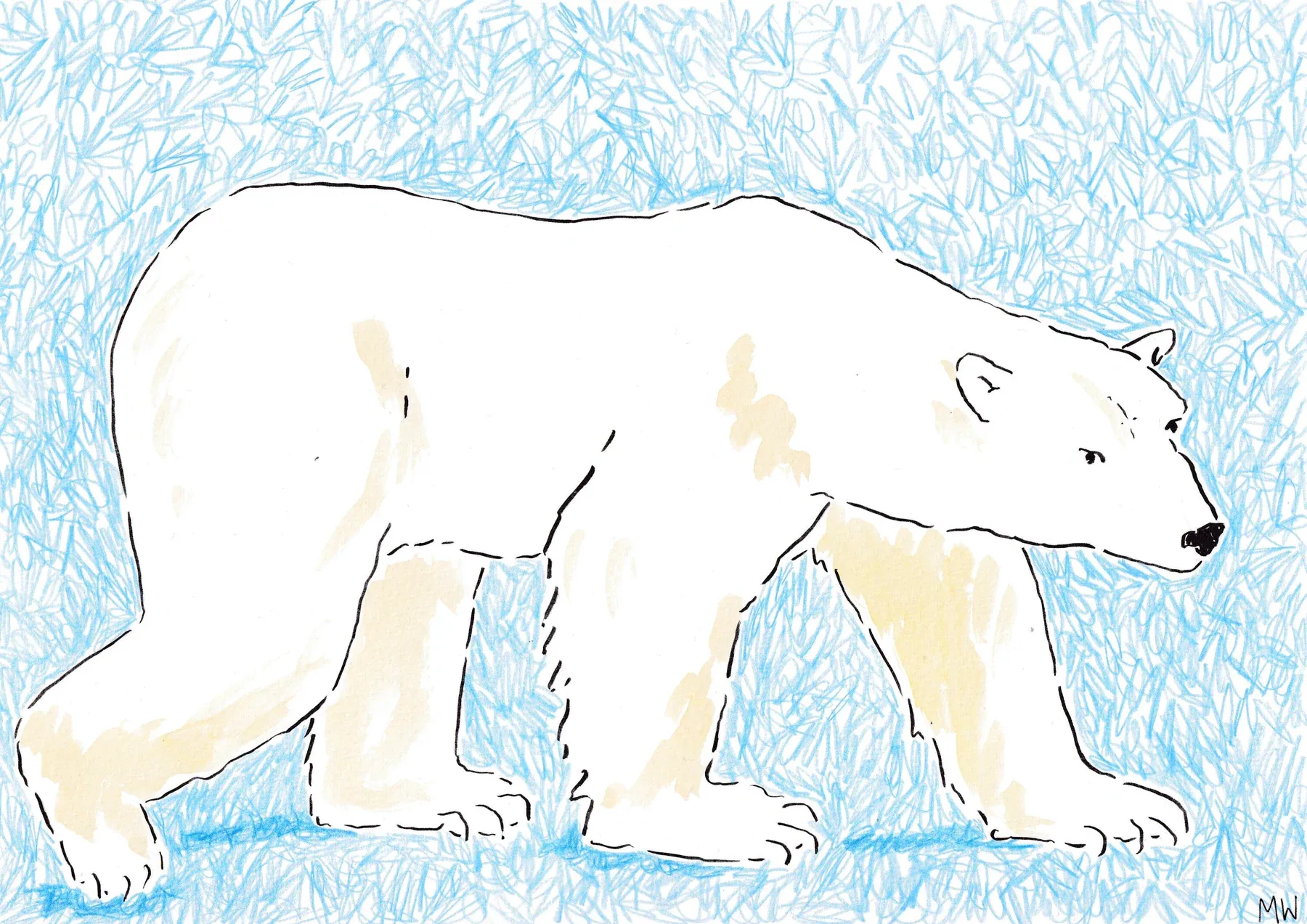 Snow Bear — watercolour illustration by Madeleine Websdale