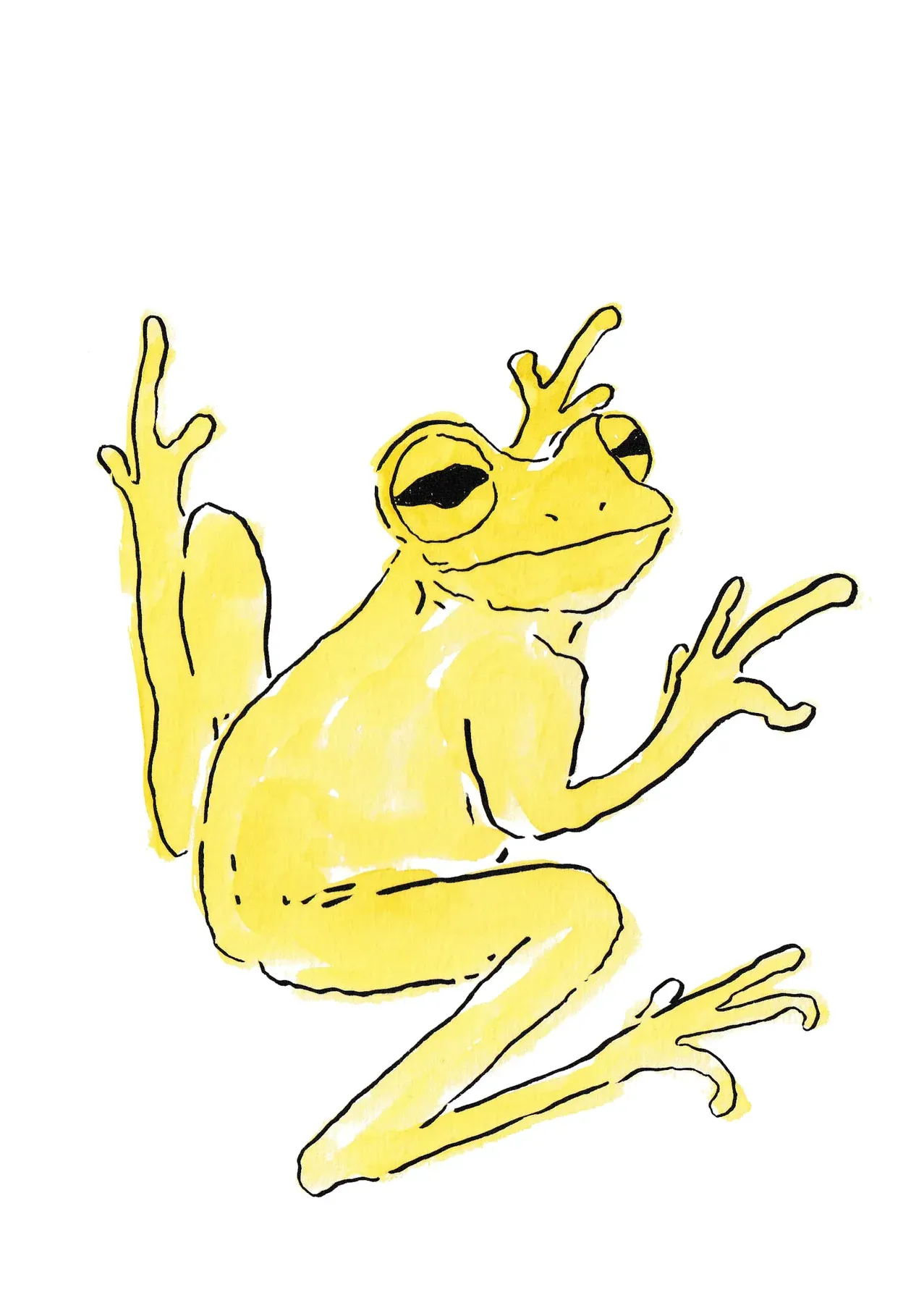 Frog character.